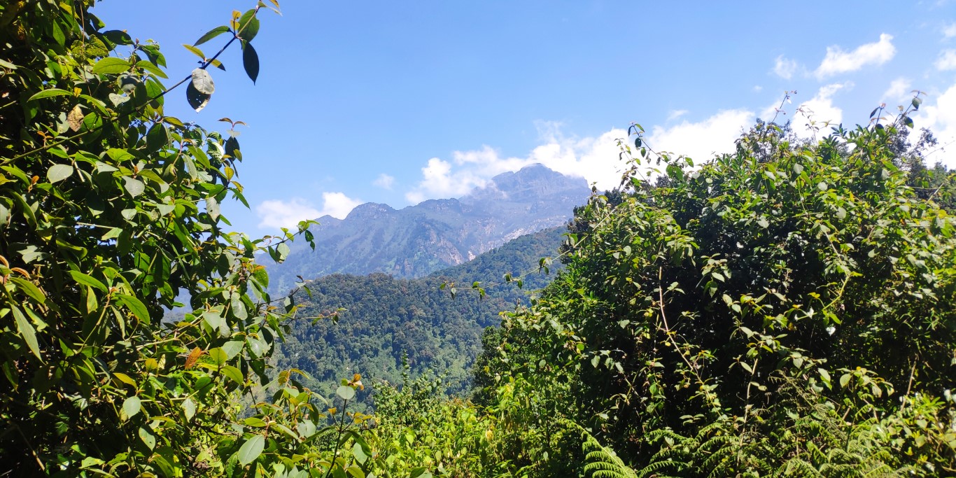 Rwenzori